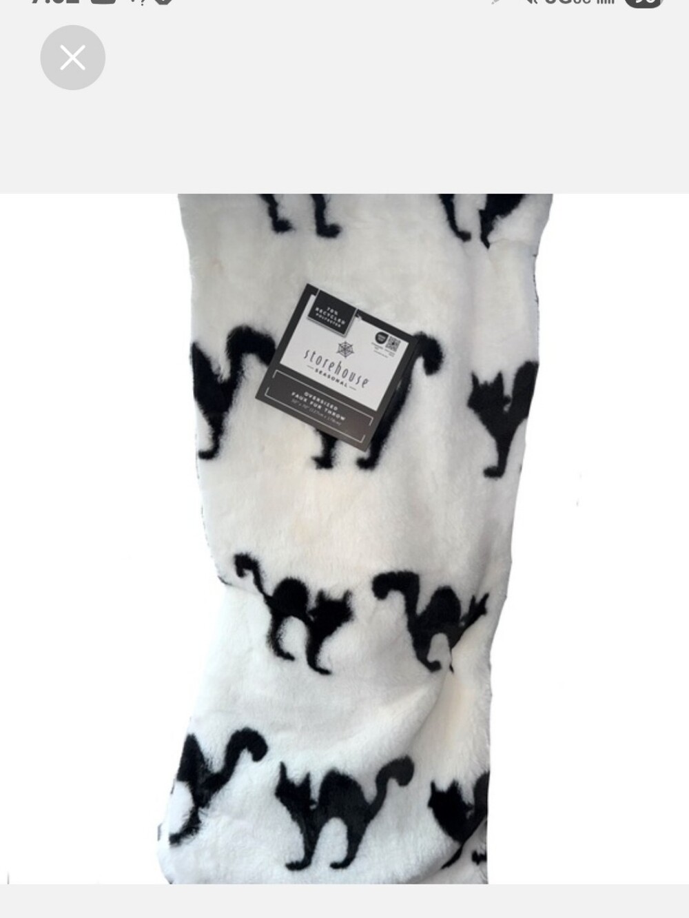 ✨️NWT Storehouse Halloween Scaredy Cat 🐈‍⬛️Faux Fur Soft Throw